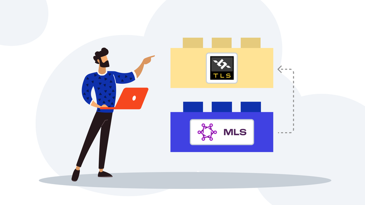 Combining TLS and MLS: An experiment